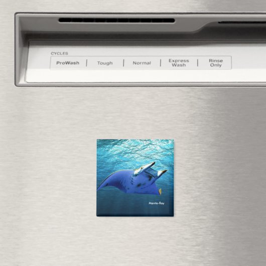 Afbeelding van vis voor Square-Magnet Magneet (Insitu (Vaatwasser))