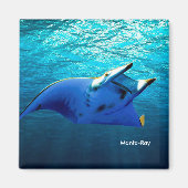 Afbeelding van vis voor Square-Magnet Magneet (Voorkant)