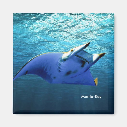 Afbeelding van vis voor Square-Magnet Magneet (Voorkant)