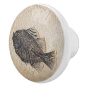 Afbeelding van viskalkzandsteen keramische knop (Rechts)