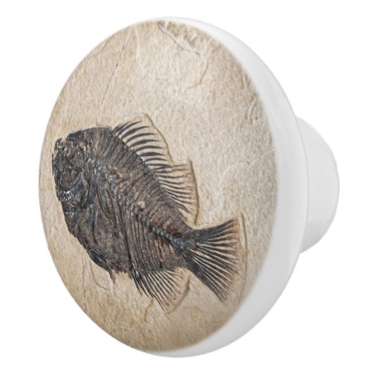 Afbeelding van viskalkzandsteen keramische knop (Rechts)