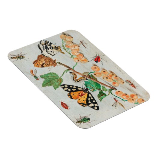  afbeelding van vlinders op bessen magneet (Rechterzijde)