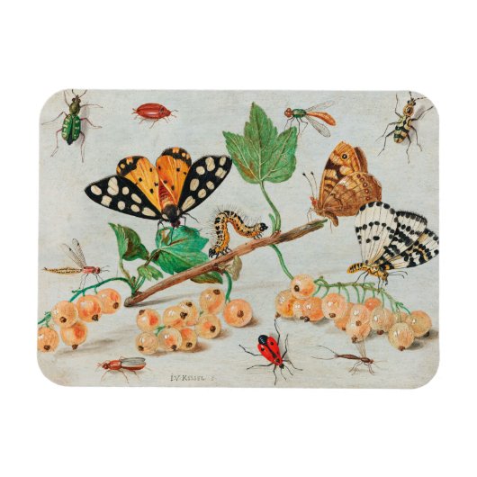 afbeelding van vlinders op bessen magneet (Horizontaal)