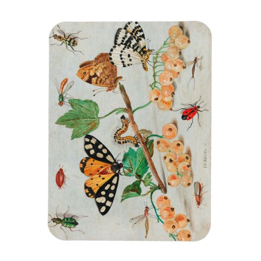 afbeelding van vlinders op bessen magneet (Verticaal)