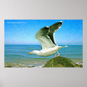 Afbeelding van vogels voor Poster