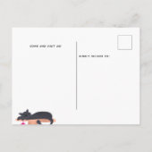 Afbeelding van vun kattenhuis: bewegende aankondig aankondigingskaart (Achterkant)