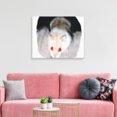Afbeelding van witte en blonde albino hamster canvas afdruk (Insitu (Woonkamer))