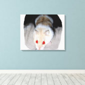 Afbeelding van witte en blonde albino hamster canvas afdruk (Insitu (Houten vloer))