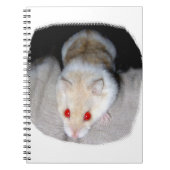 Afbeelding van witte en blonde albino hamster notitieboek (Voorkant)