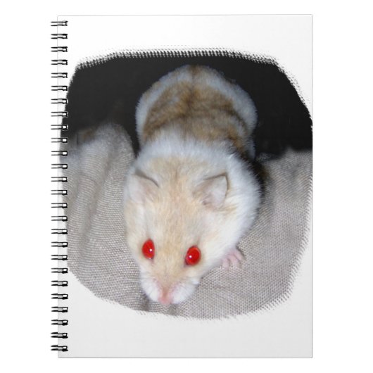 Afbeelding van witte en blonde albino hamster notitieboek (Voorkant)