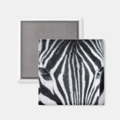 afbeelding van zebra magneet (Voorkant / Achterkant)