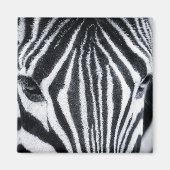 afbeelding van zebra magneet (Voorkant)