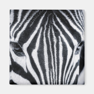 afbeelding van zebra magneet