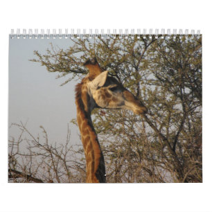 Afbeelding van Zuid-Afrika Kalender