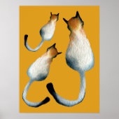 Afbeelding van zwarte en bruine katten poster (Voorkant)
