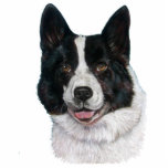 afbeelding van zwarte en witte beren hond fotobeeldje sleutelhanger<br><div class="desc">Dit is Sweetie, ik schilderde haar portret een paar jaar geleden. Ze wordt beschouwd als een beer hond, maar omdat ze een reddingshond is, is niemand er zeker van. Omdat ze erg op een akita lijkt, ga ik haar als een akita categoriseren. Dit akita meisje ziet er geweldig uit op...</div>