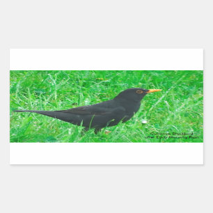 Afbeelding van zwarte vogels voor rechthoekige Sti Sticker
