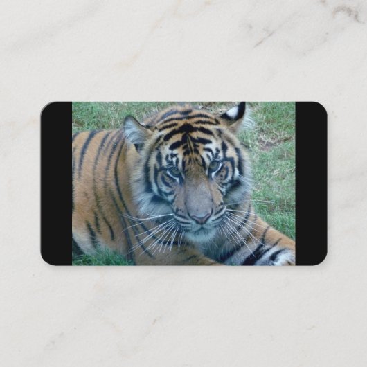 Afbeelding-Visitekaartjes Visitekaartje (Voorkant)