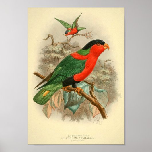 afbeelding vogelcadeaus posters wijnposters (Voorkant)