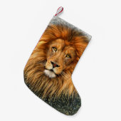 Afbeelding voor Lion Fotograaf Verf Kunst Kleine Kerstsok (Voorkant (Hangend))