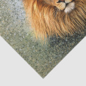 Afbeelding voor Lion Fotograaf Verf Kunst Tissuepapier (Detail)