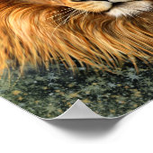 Afbeelding voor lionfotografie verf kunst poster (Hoek)