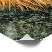 Afbeelding voor lionfotografie verf kunst poster (Hoek)