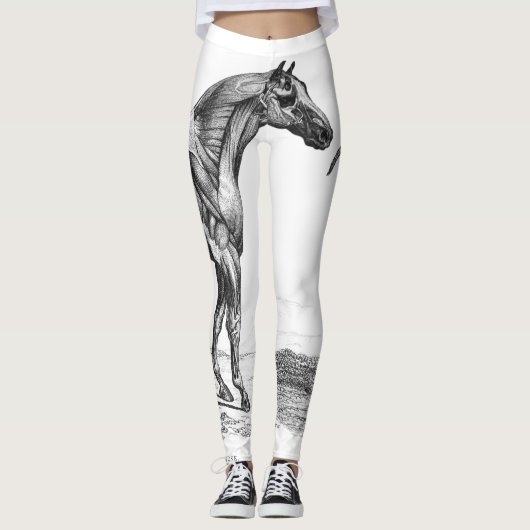 Afbeelding voor retrorepspieranatomie leggings (Voorkant)