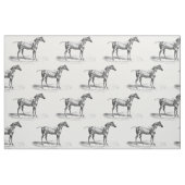 Afbeelding voor retrorepspieranatomie stof (Fat Quarter)