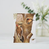  Afbeelding voor vogels Briefkaart (Staand voorkant)