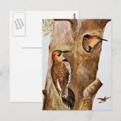  Afbeelding voor vogels Briefkaart (Voorkant / Achterkant)