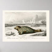  afbeelding zegel poster (Voorkant)