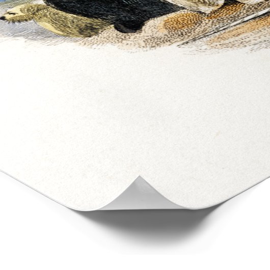  afbeelding zegel poster (Hoek)