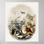  afbeelding zegel poster (Voorkant)