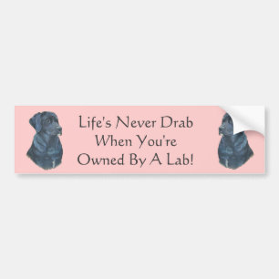 afbeelding zwarte labrador hond met leugenachtige  bumpersticker
