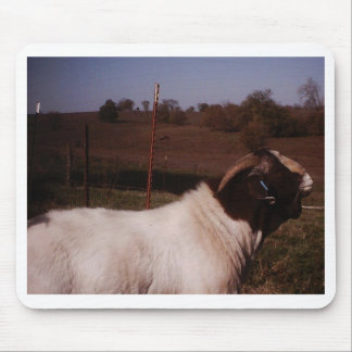 afbeeldingen024 muismat