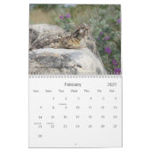 Afbeeldingen 2016 uit Southwest Texas Kalender (Feb 2027)