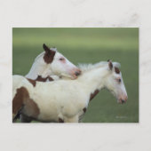 Afbeeldingen afspelen briefkaart (Voorkant)