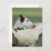 Afbeeldingen afspelen briefkaart (Voorkant / Achterkant)