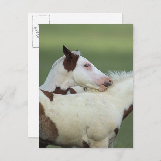 Afbeeldingen afspelen briefkaart (Voorkant / Achterkant)