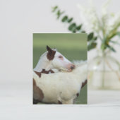 Afbeeldingen afspelen briefkaart (Staand voorkant)