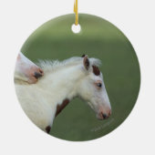 Afbeeldingen afspelen keramisch ornament (Achterkant)