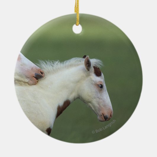 Afbeeldingen afspelen keramisch ornament (Achterkant)