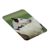 Afbeeldingen afspelen magneet (Rechterzijde)