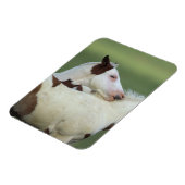 Afbeeldingen afspelen magneet (Linkerzijde)