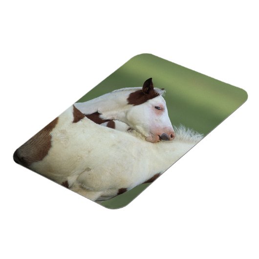 Afbeeldingen afspelen magneet (Linkerzijde)