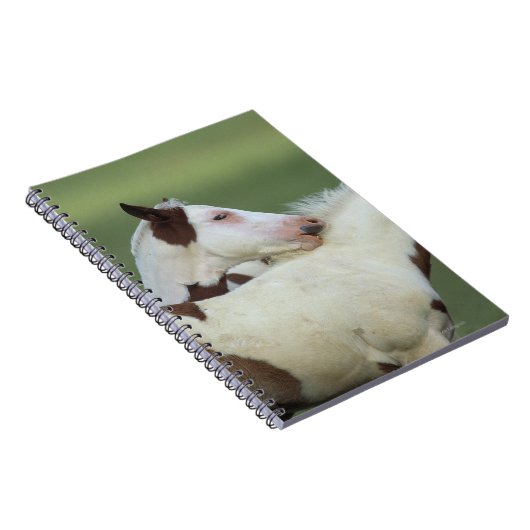 Afbeeldingen afspelen notitieboek (Rechterzijde)