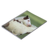 Afbeeldingen afspelen notitieboek (Linkerzijde)