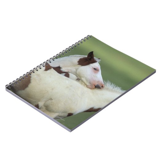 Afbeeldingen afspelen notitieboek (Linkerzijde)