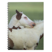 Afbeeldingen afspelen notitieboek (Voorkant)